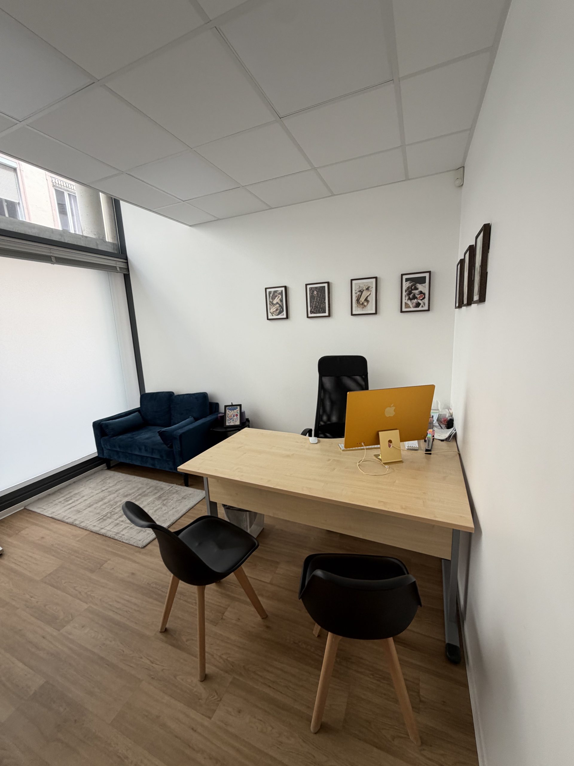 cabinet-mathilde-meny-dieteticienne-nutritionniste-lyon-9